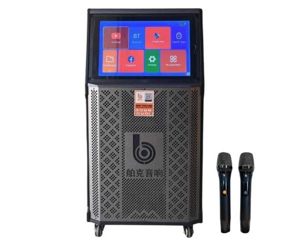 Bạn nên cân nhắc thật kỹ trước khi mua loa kéo và chọn đơn vị cung cấp uy tín để có được sản phẩm phù hợp nhất.
